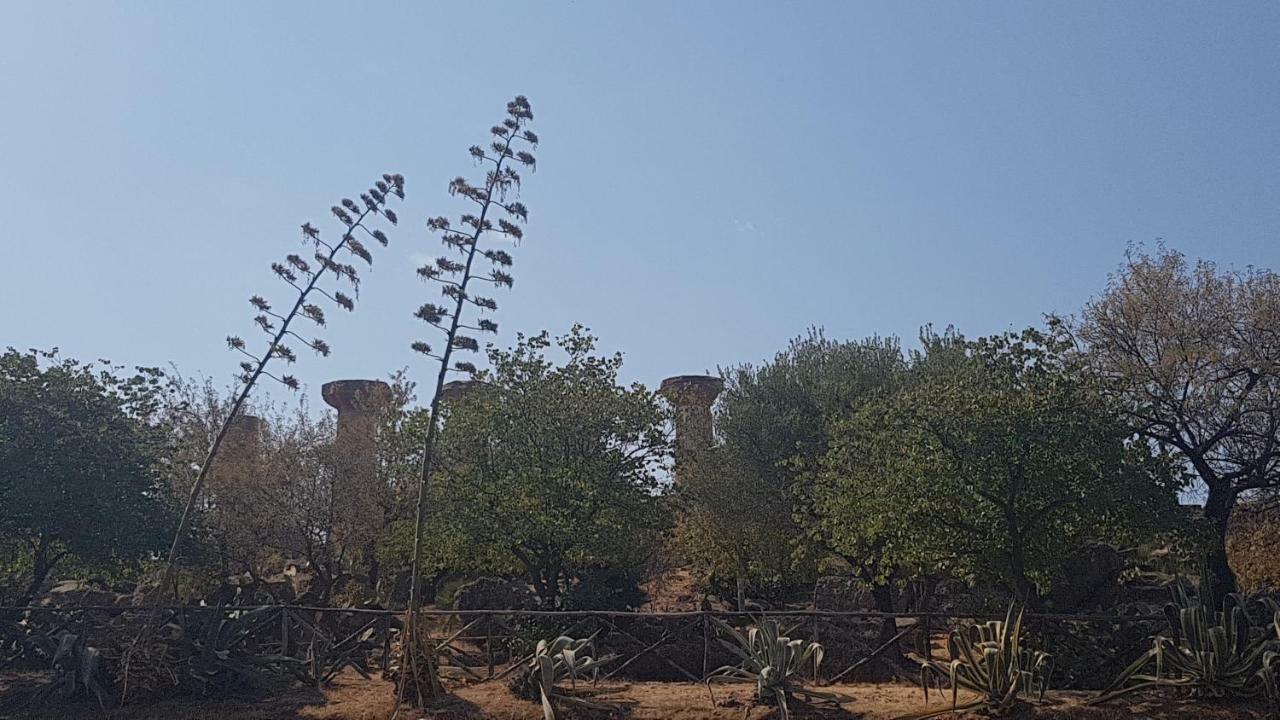 Valle Dei Templi Al Mare - A San Leone Apartamento Agrigento